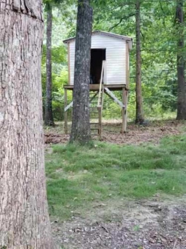 291 Shelley Road Manchester, TN 37355 - Photo 12 of 15