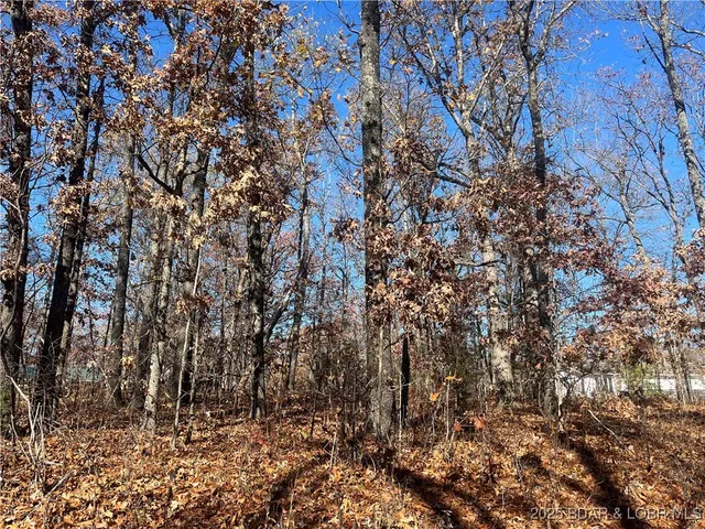 $3,800 | Lot 200 Geranamo Lane, Rocky Mount, MO 65072