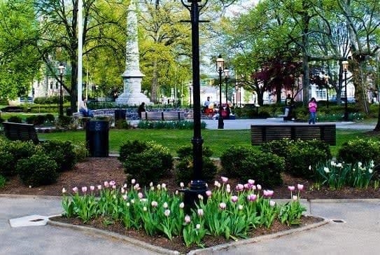 74 Ridgedale Avenue, Unit 304 Morristown, NJ 07960 - Photo 40 of 42 a garden with flowers and trees