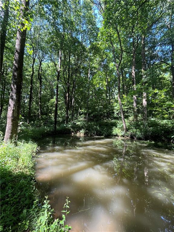 0 Monument Road Jasper, GA 30143 - Photo 5 of 9