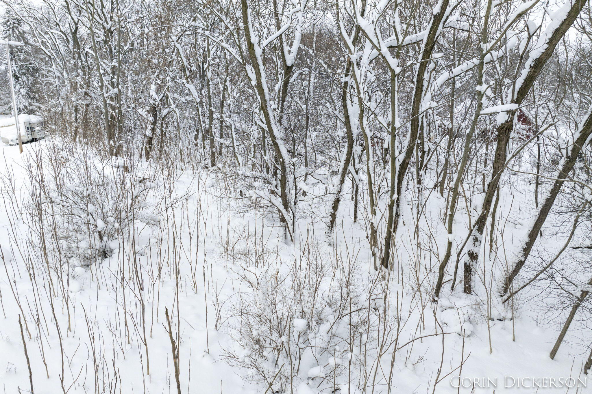 5075 Whites Bridge Road Belding, MI 48809 - Photo 6 of 7 10-web-or-mls-Vacant Lot 5101 Whites Bri