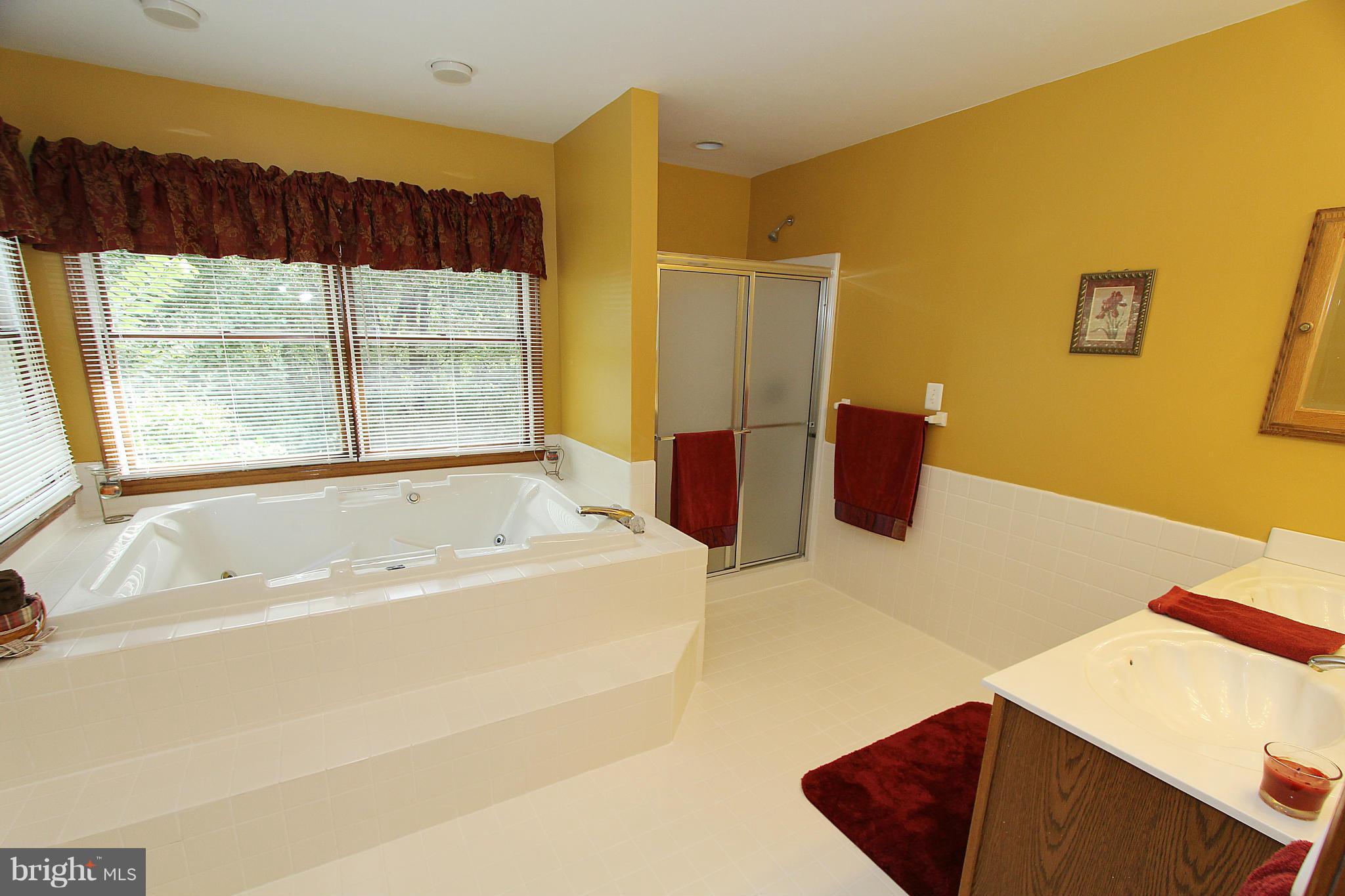 3154 Charles Street Fallston, MD 21047 - Photo 8 of 30 a bathroom with a bathtub and a shower