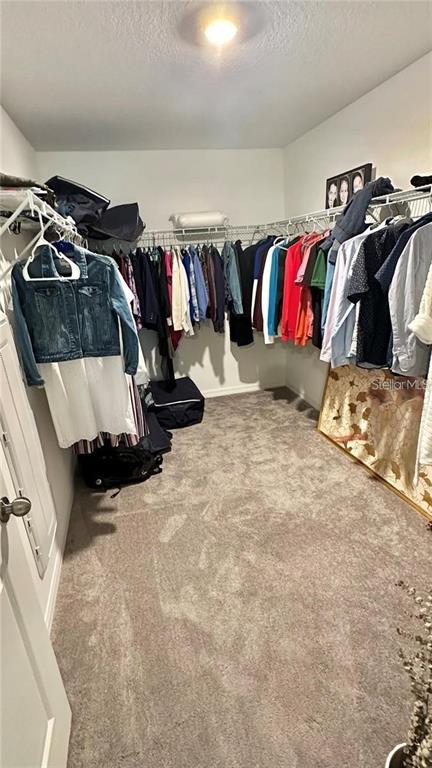 31363 Sun Kettle Loop Wesley Chapel, FL 33545 - Photo 23 of 29 a view of walk in closet with clothes and shoes