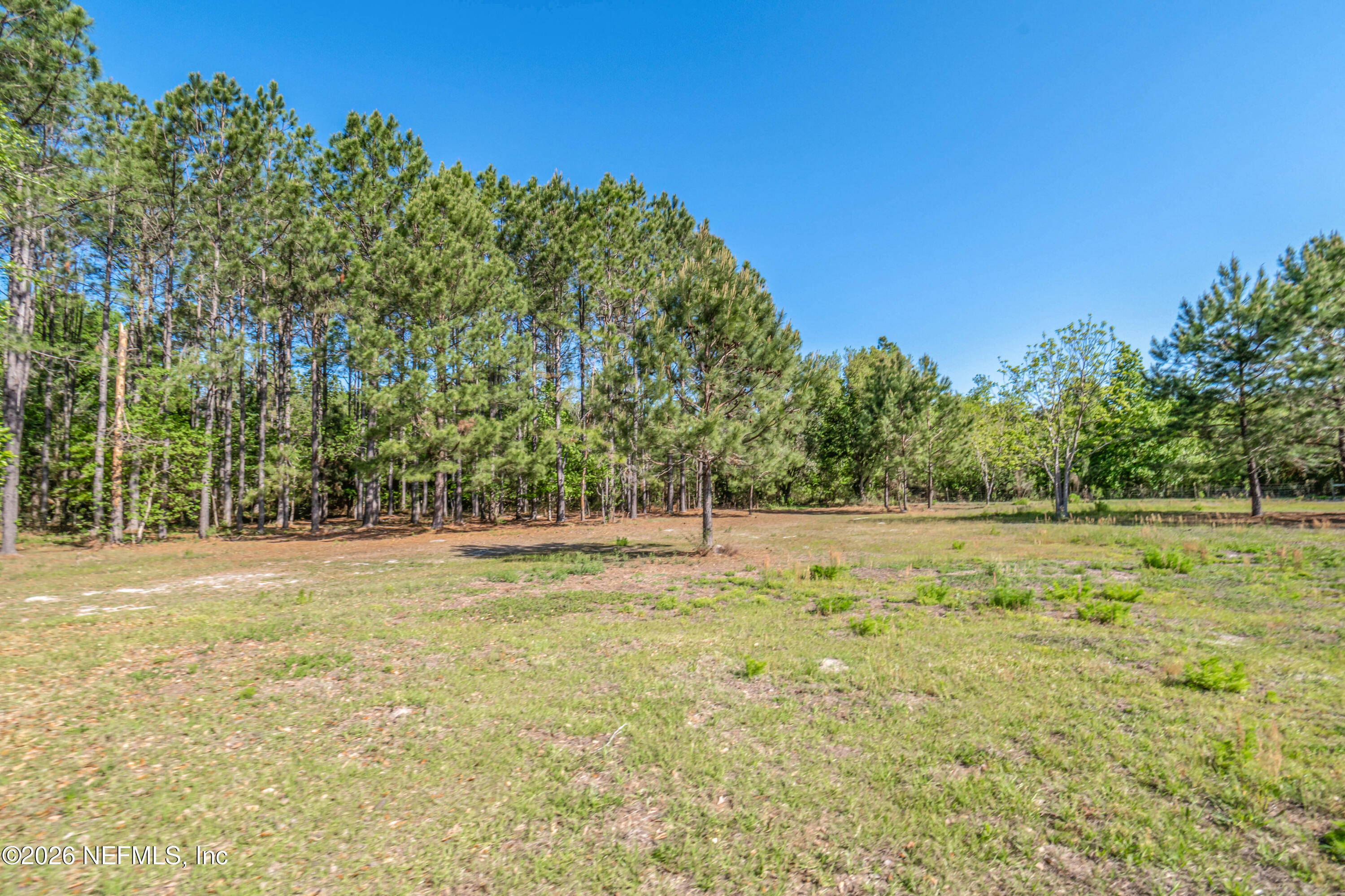 8219 Mud Lake Road Macclenny, FL 32063 - Photo 88 of 96 untitled-8704copy