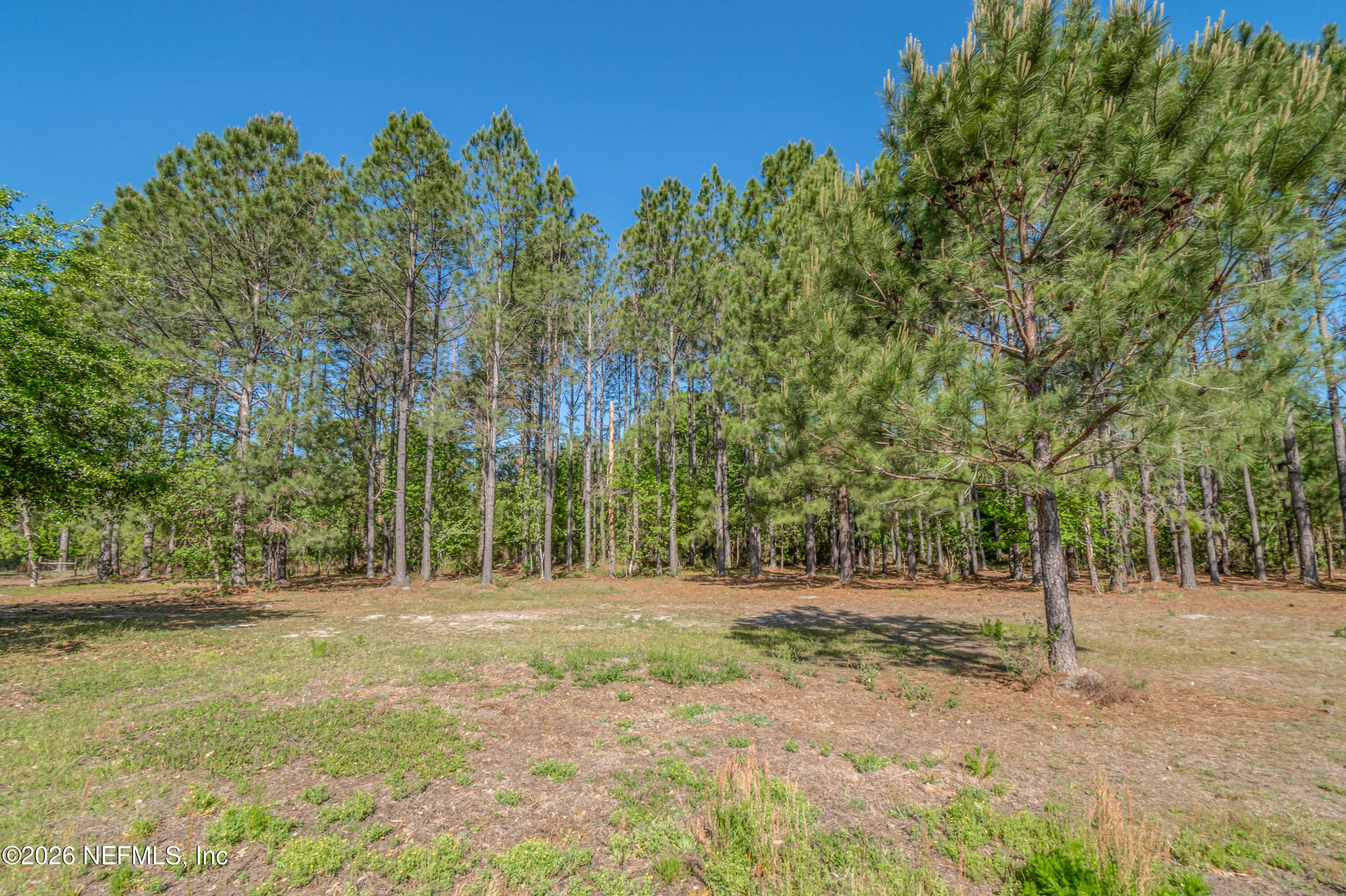 8219 Mud Lake Road Macclenny, FL 32063 - Photo 90 of 96 untitled-8716copy