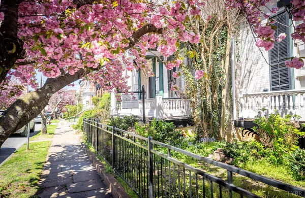 $1,150,000 | 802 Court Street, Lynchburg, VA 24504