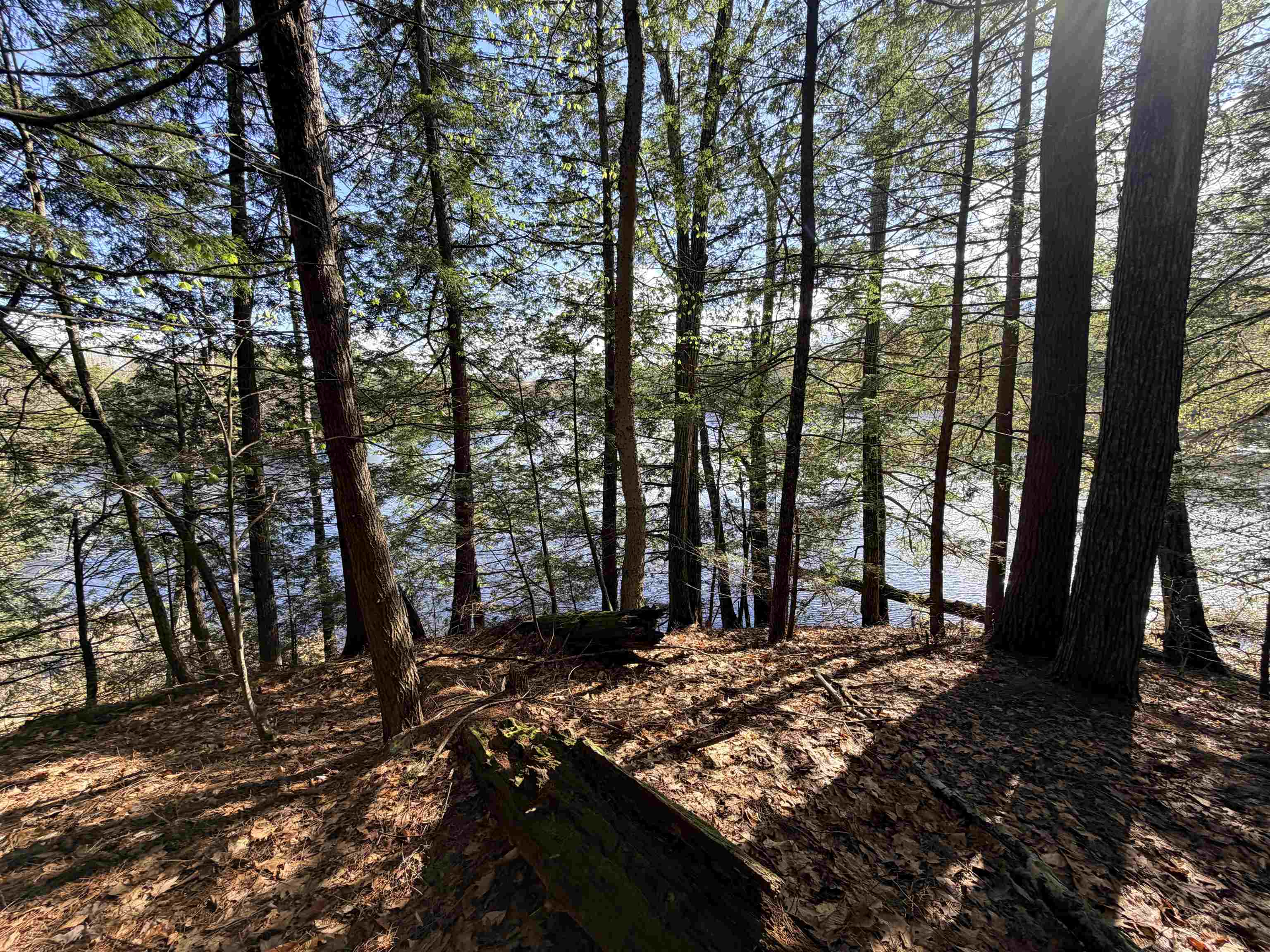 0 North Old Branch Road Antrim, NH 03440 - Photo 6 of 12