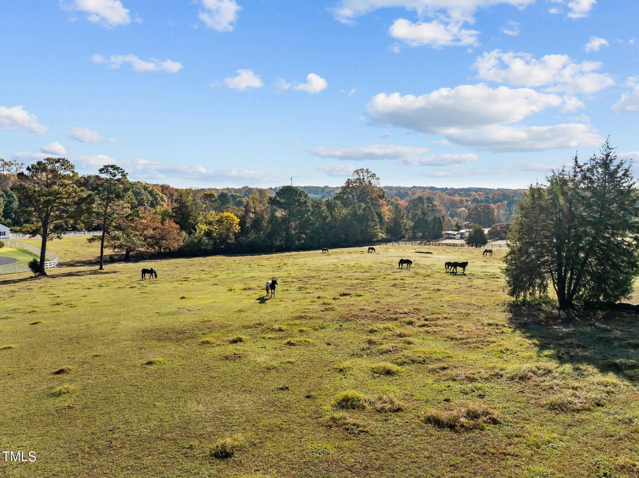 11917 Shooting Club Road Raleigh, NC 27613 - Photo 64 of 65 54-web-or-mls-DJI_0492