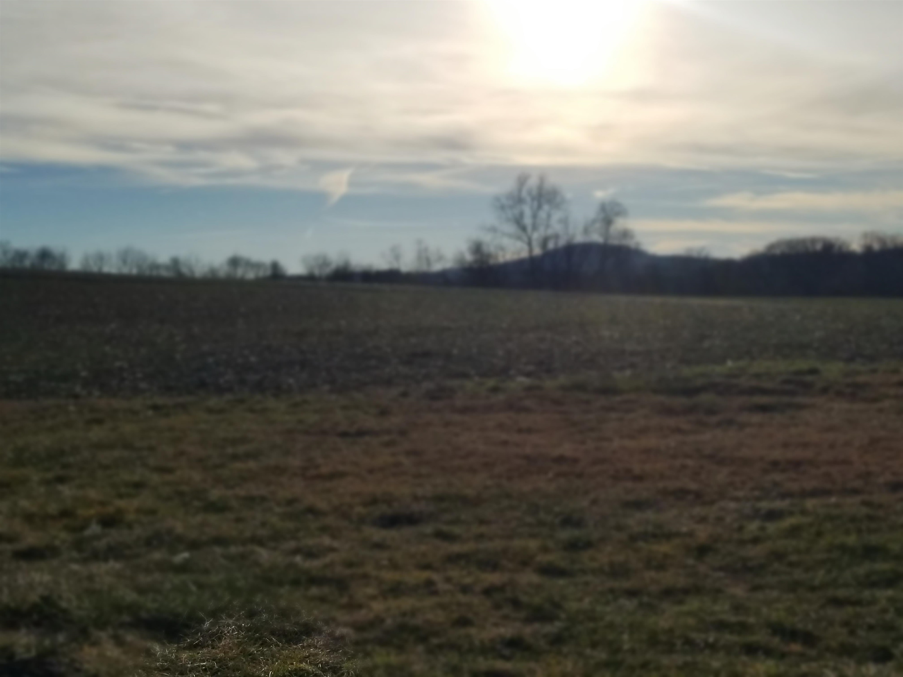 370 Friedens Church Road Mount Crawford, VA 22841 - Photo 6 of 29 a view of lake view and mountain