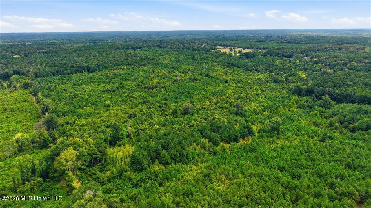Lot 2 Lottville Road Canton, MS 39046 - Photo 11 of 15 10-347 Lottville Rd _ Hometoursms.com