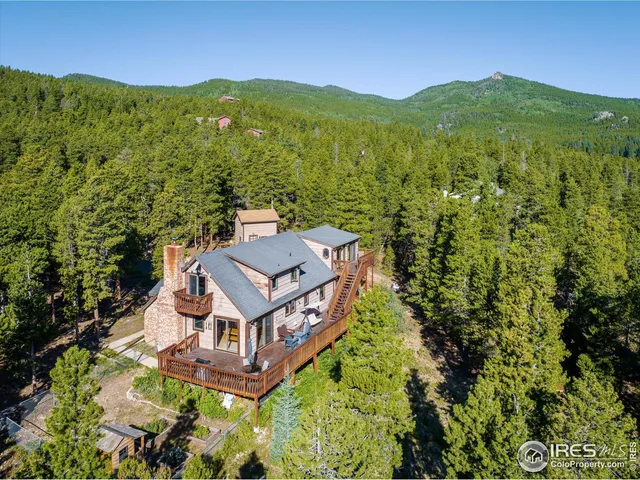 a view of a big yard with potted plants and large tree