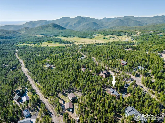a view of a lush green field with lots of bushes