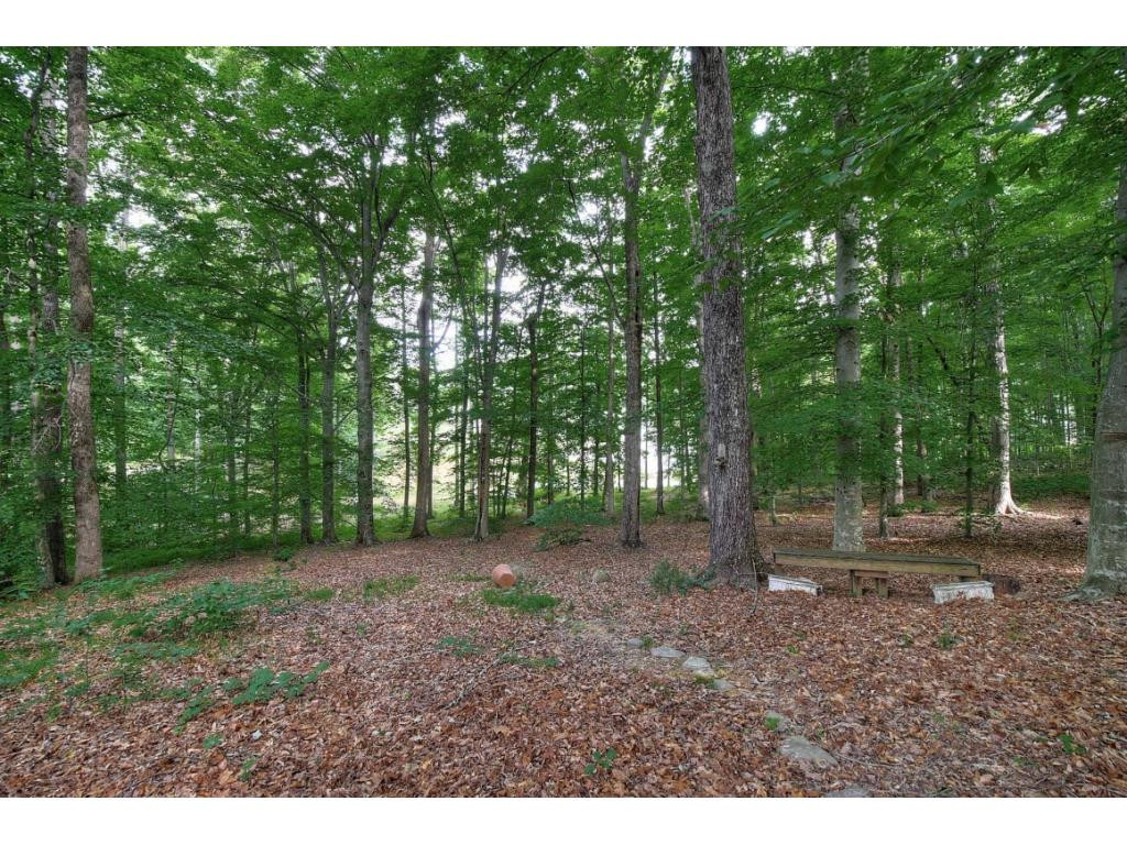139 Bob Clark Road Jonesborough, TN 37659 - Photo 34 of 36 Photo 34