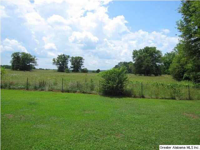 56 Brickstore Road Eastaboga, AL 36260 - Photo 21 of 27