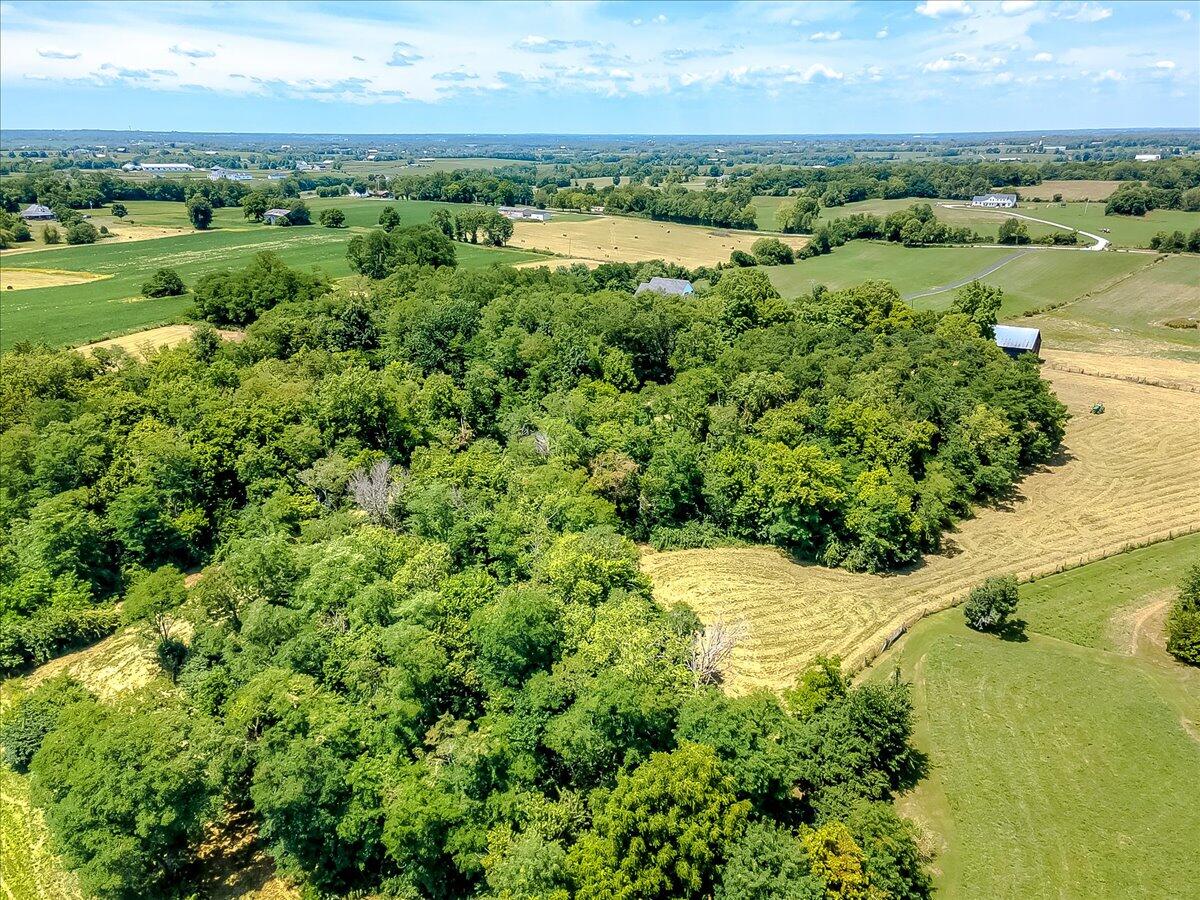 552 Iron Works Road Paris, KY 40361 - Photo 67 of 74 75-6-14