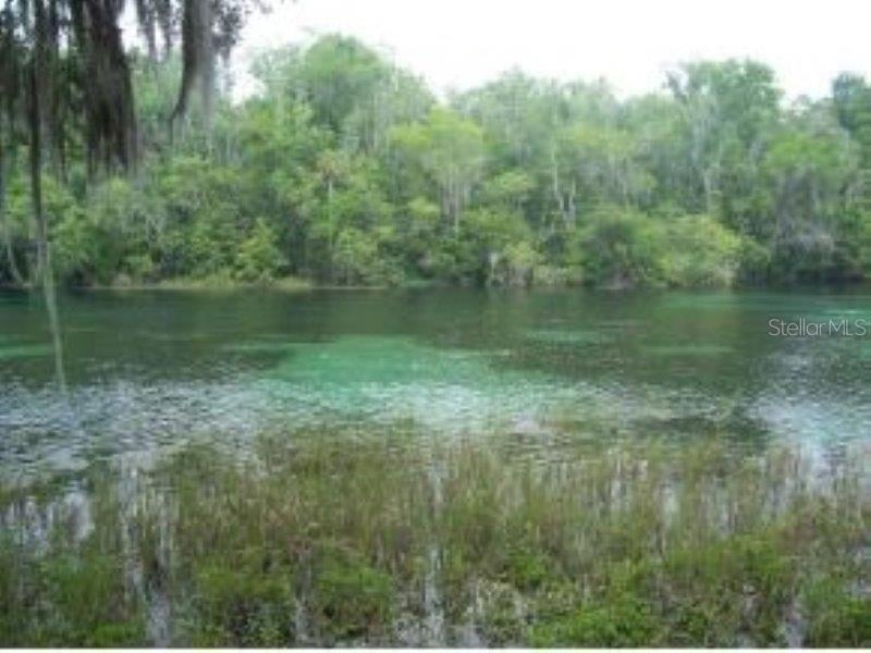 19181 Southwest 90th Ln Road Dunnellon, FL 34432 - Photo 20 of 37 a view of a lake view