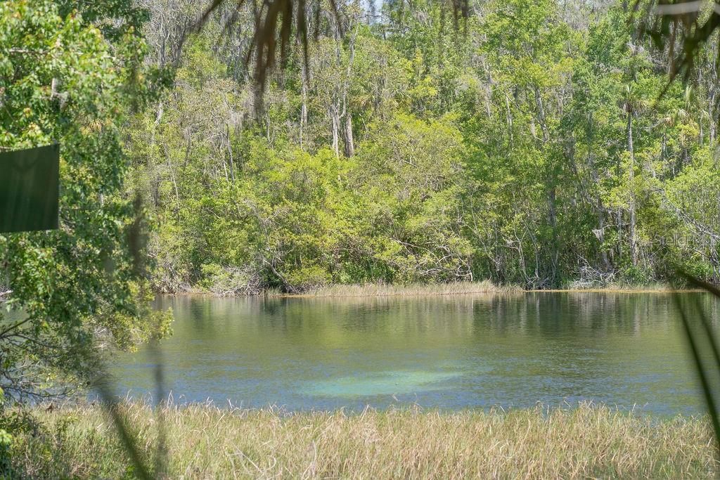19181 Southwest 90th Ln Road Dunnellon, FL 34432 - Photo 31 of 37 a view of a lake view with a lake view