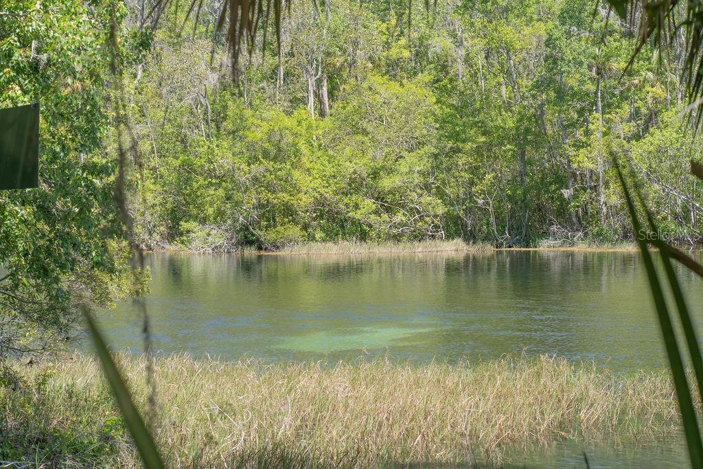 19181 Southwest 90th Ln Road Dunnellon, FL 34432 - Photo 32 of 37