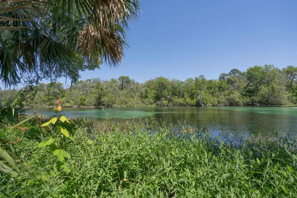 19181 Southwest 90th Ln Road Dunnellon, FL 34432 - Photo 37 of 37 a view of a lake with a yard