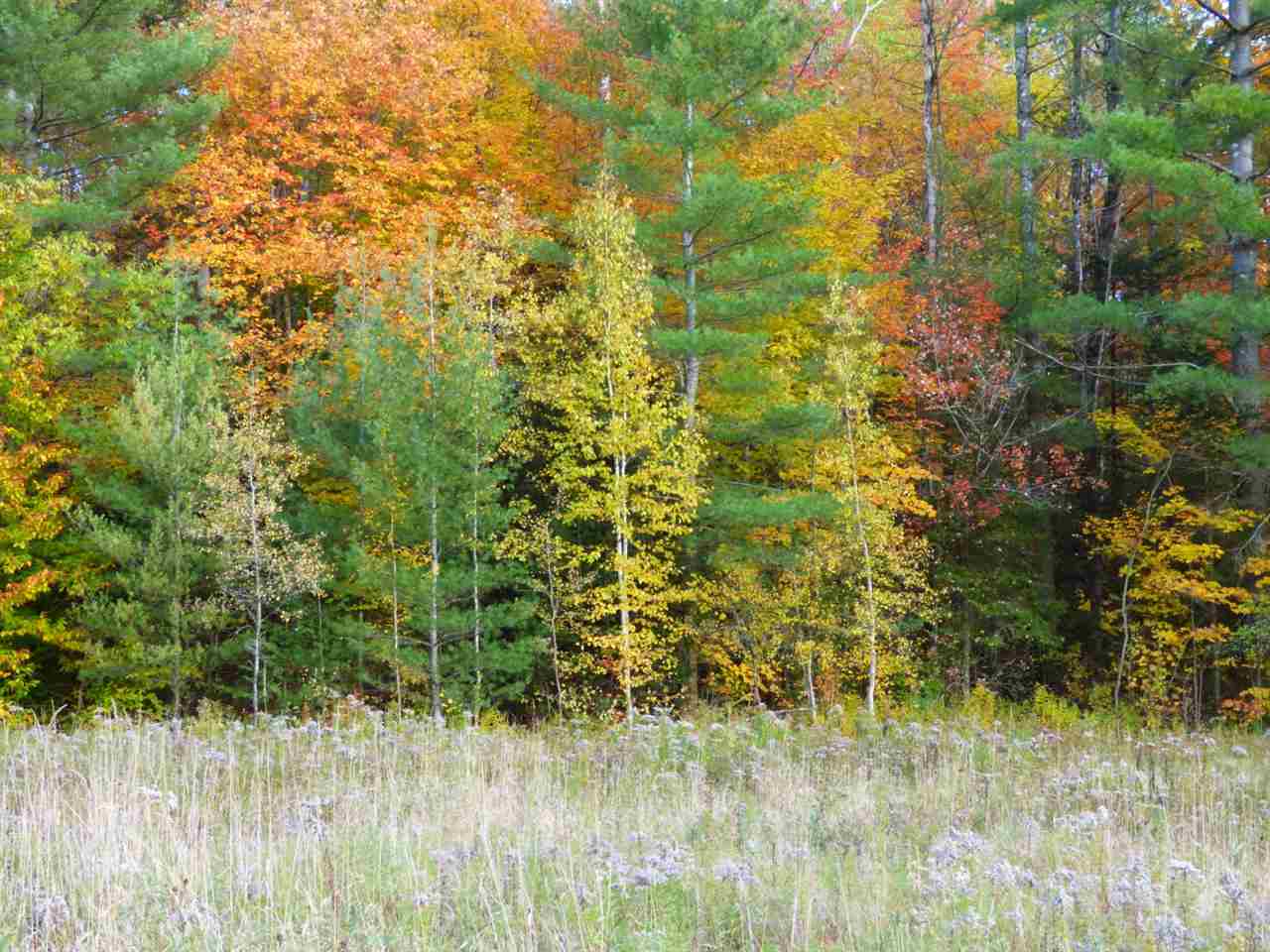 Loop Road North Troy, VT 05859 - Photo 4 of 7 Gallery Image 4