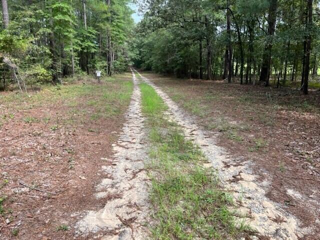 Lot 7 Cooks Pond Road Road Windsor, SC 29856 - Photo 5 of 5