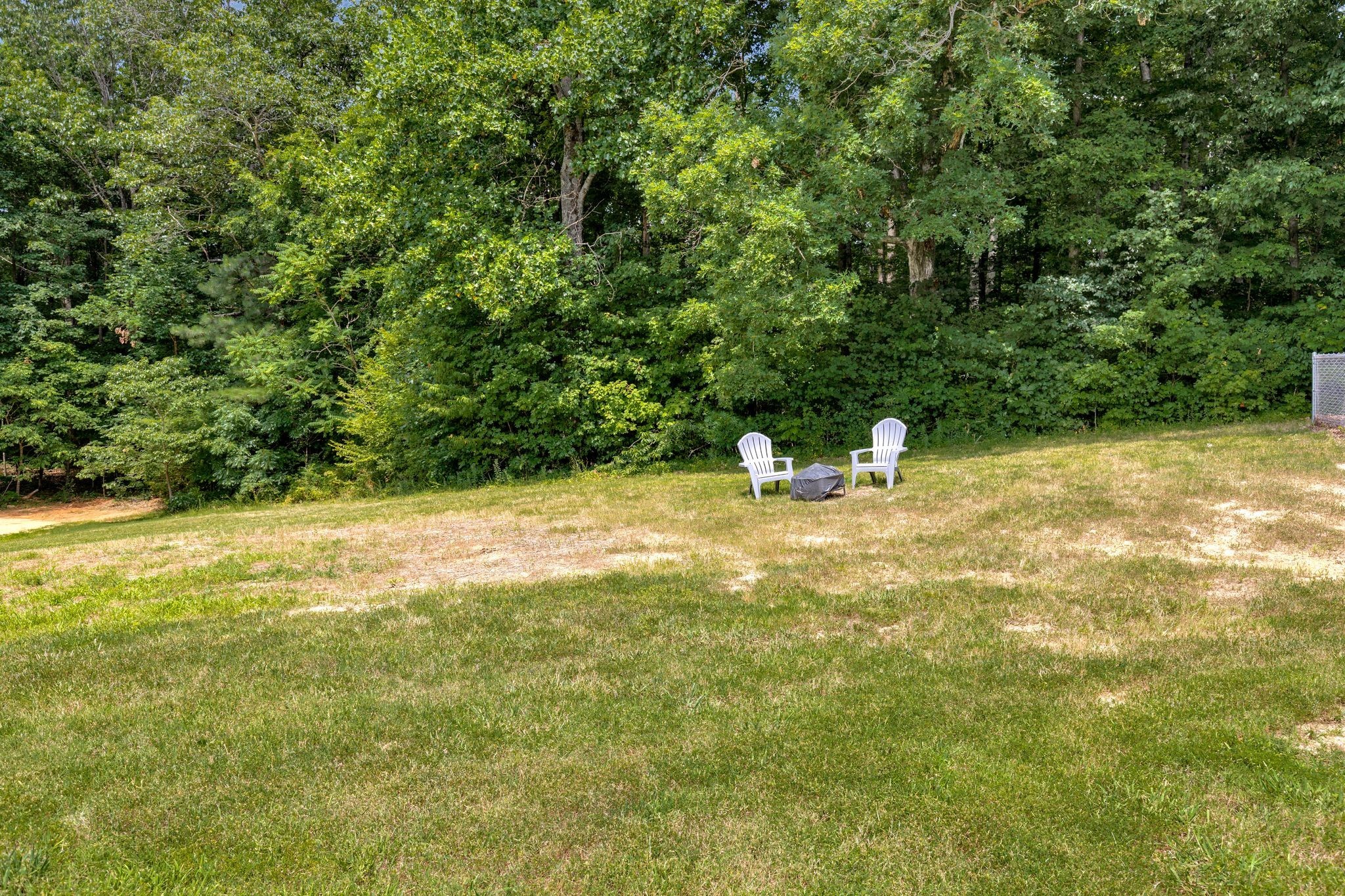4595 Chestnut Ridge Road Columbia, TN 38401 - Photo 23 of 26 a view of a yard with a tree