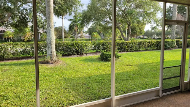 a view of a garden from a window