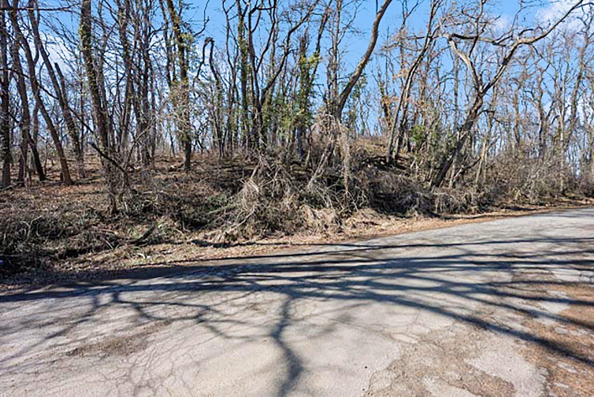 Mill Street Albion, MI 49224 - Photo 2 of 7 007_file_9345