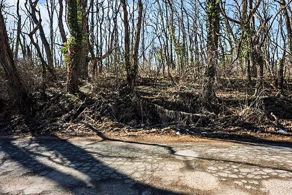 $35,000 | Mill Street, Albion, MI 49224