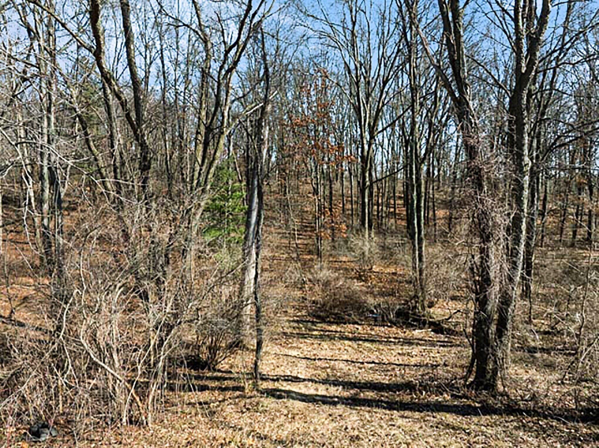 Mill Street Albion, MI 49224 - Photo 4 of 7 006_file_8149