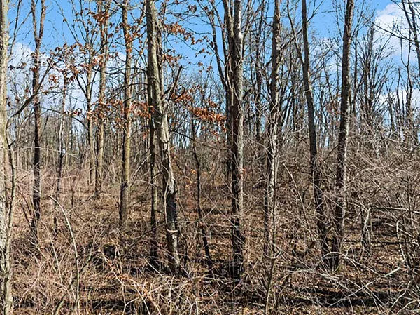 $35,000 | Mill Street, Albion, MI 49224