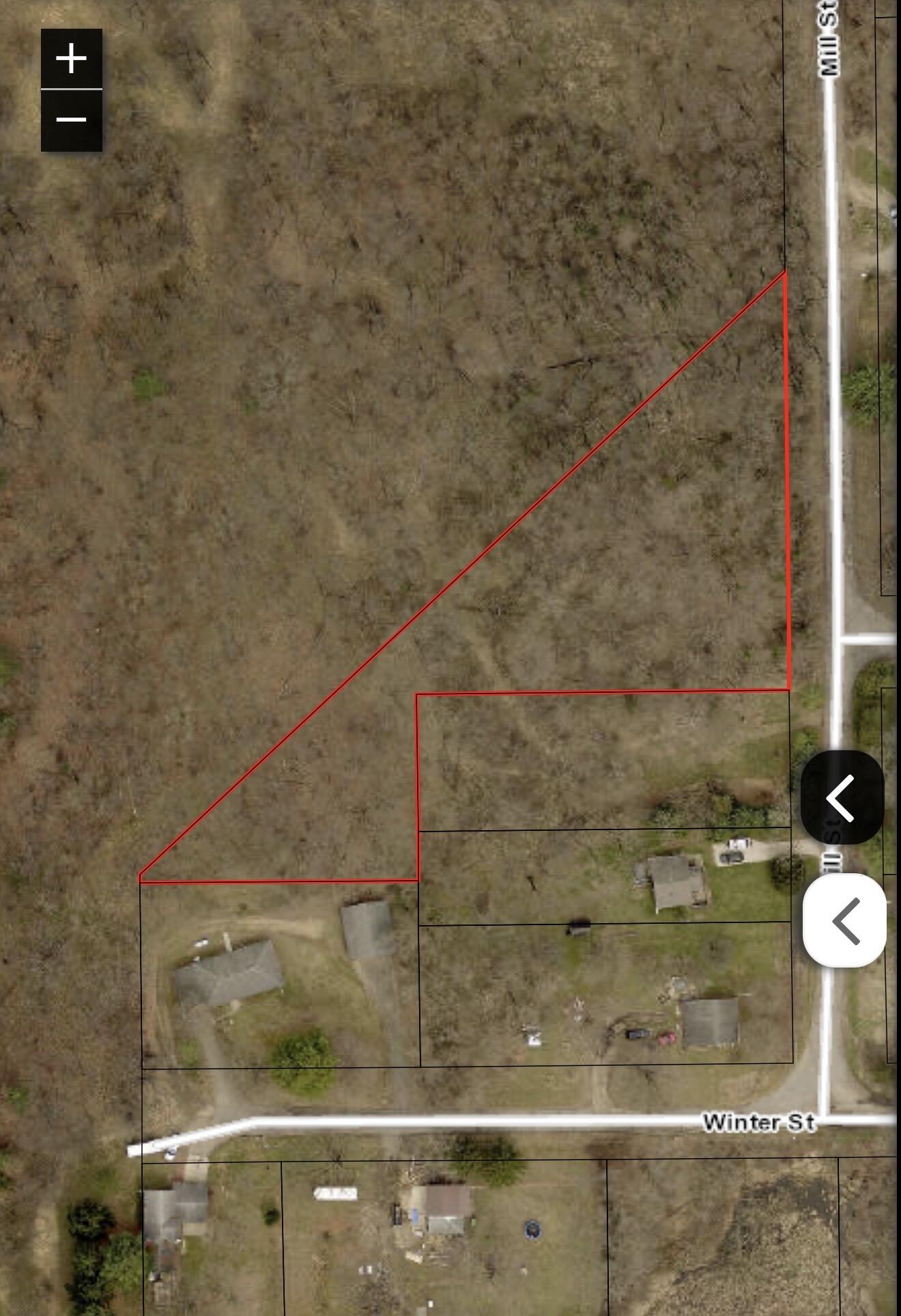 Mill Street Albion, MI 49224 - Photo 7 of 7 IMG_5029