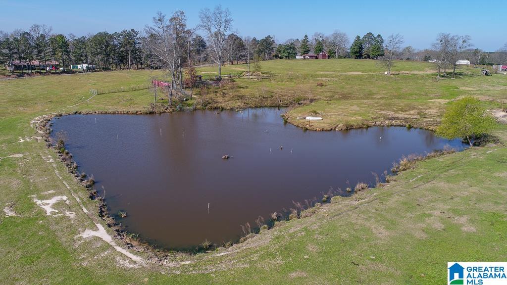 348 County Road 370, Unit 1 Clanton, AL 35045 - Photo 5 of 10