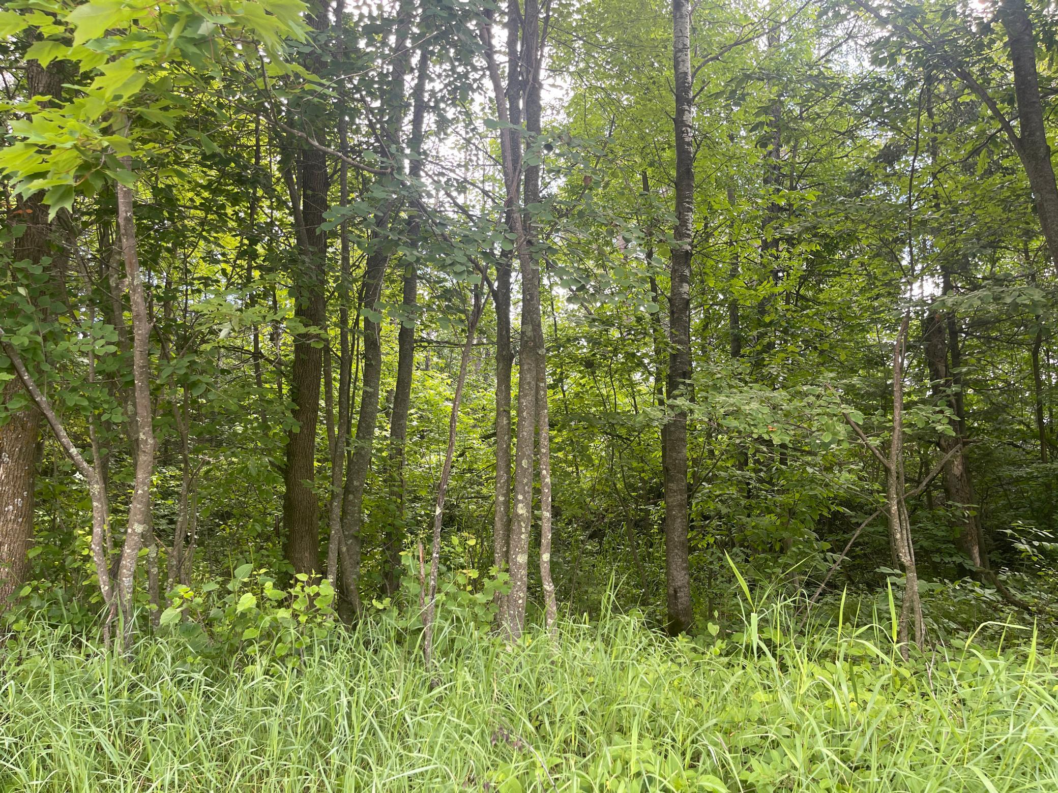 Tbd Sjodahl Road Sandstone, MN 55072 - Photo 10 of 15