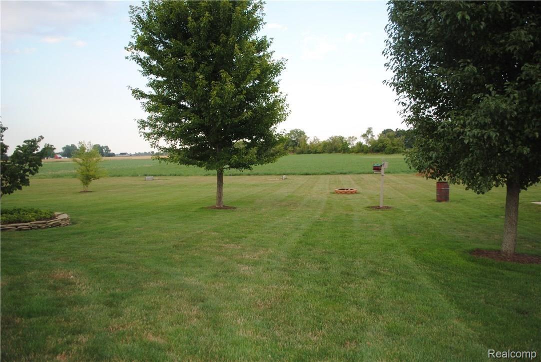 7047 Douglas Road Ida, MI 48140 - Photo 3 of 36 DSC_0495.JPG