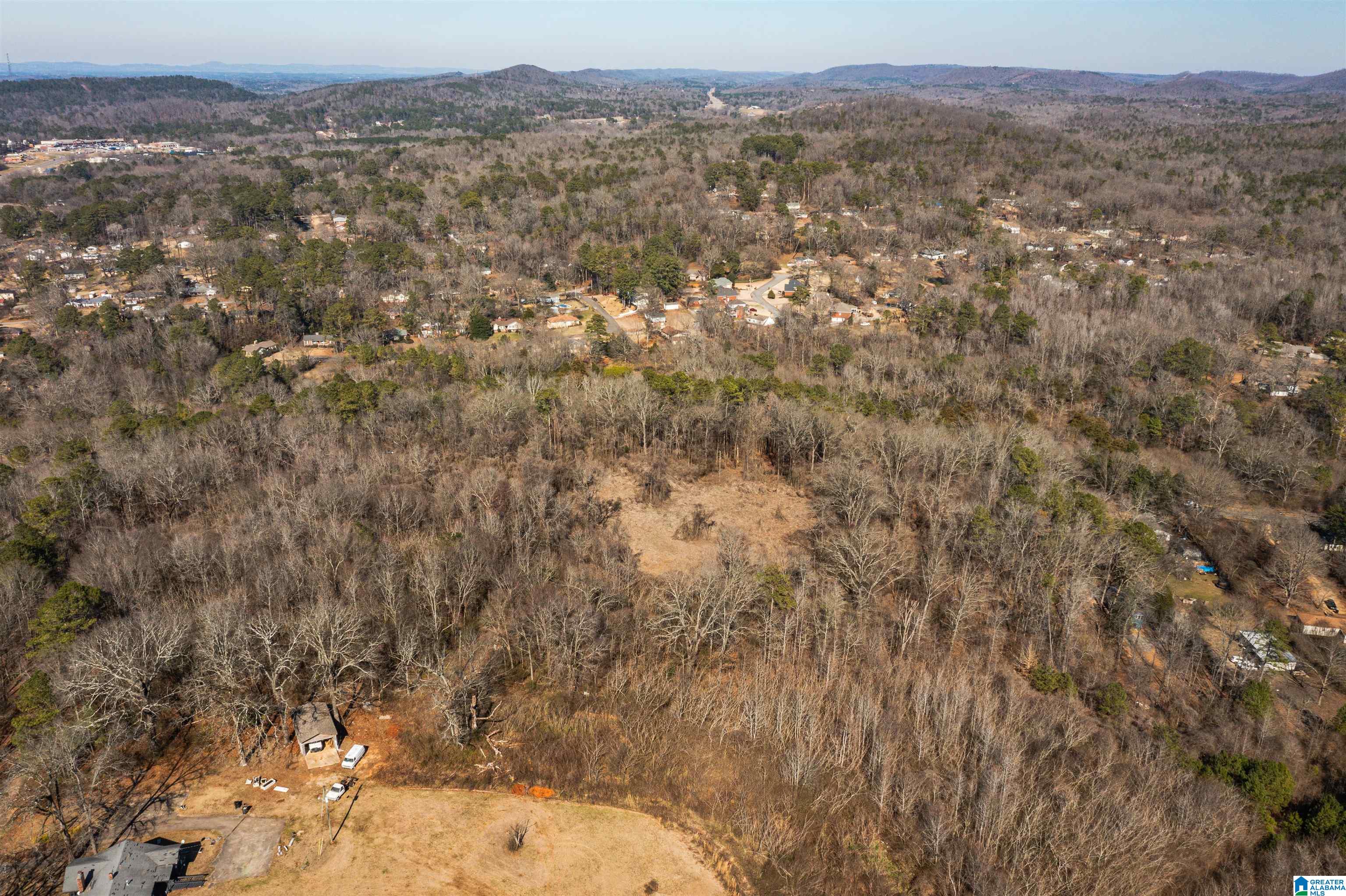 4392 Buzbee Road, Unit 1 Pinson, AL 35126 - Photo 3 of 27
