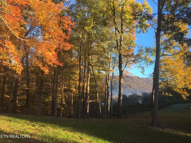 $285,000 | 180 Donna Lane, La Follette, TN 37766