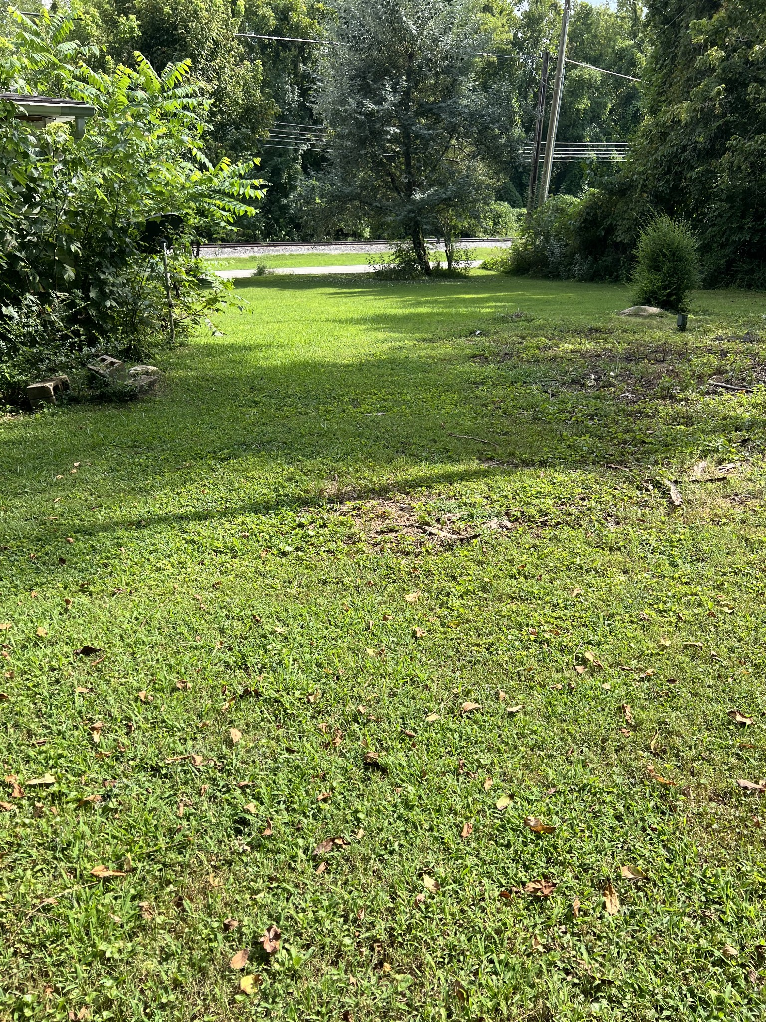 512 Main Street Baxter, TN 38544 - Photo 16 of 24 a view of a green field with plants