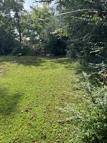 a view of a green field