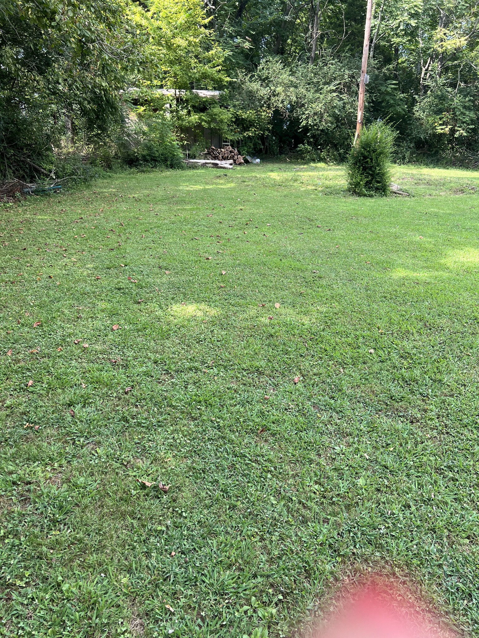 512 Main Street Baxter, TN 38544 - Photo 19 of 24 a view of a green field