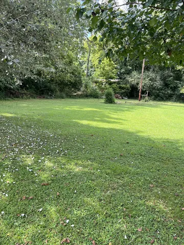 a view of a green field with plants