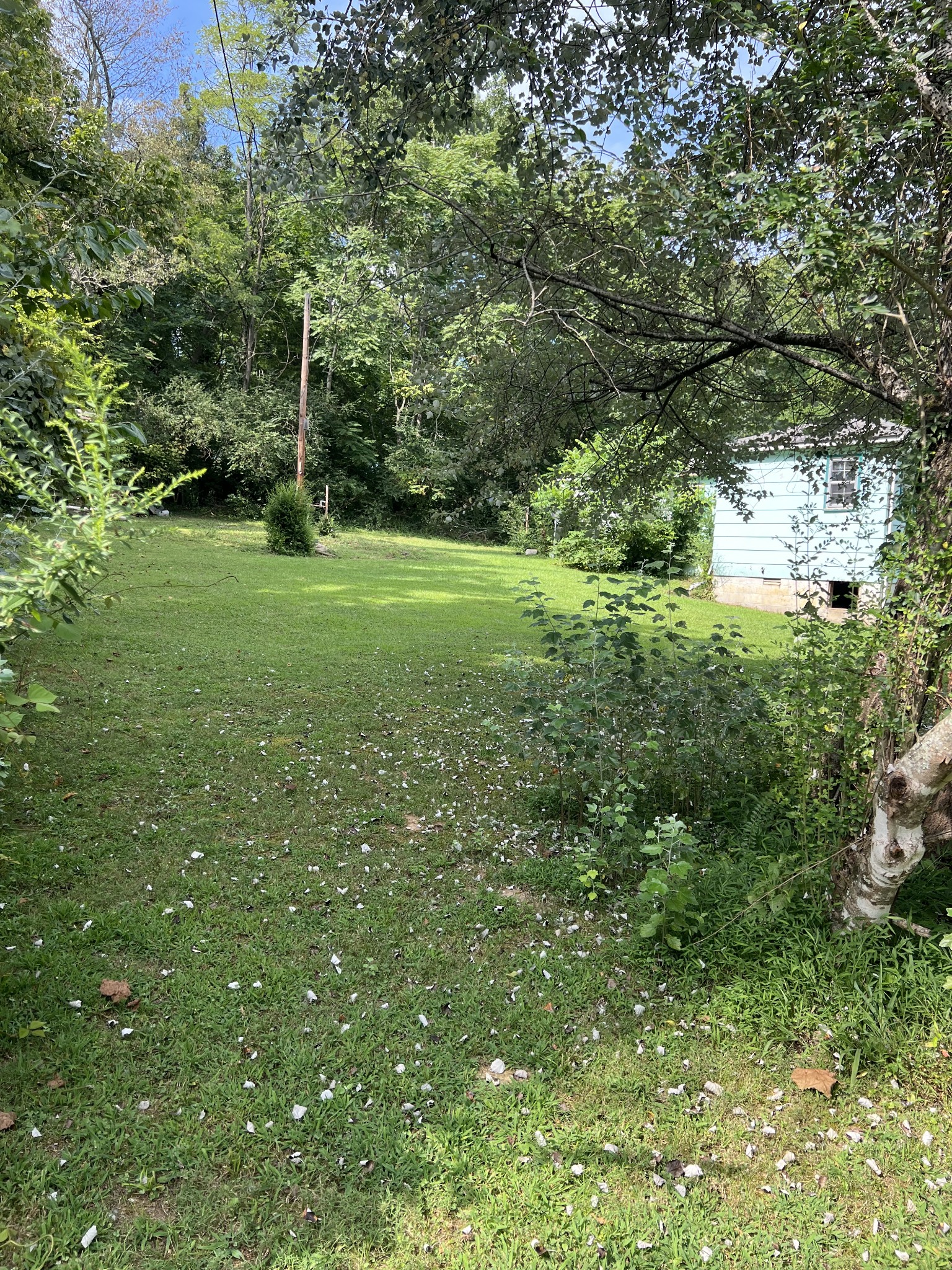 512 Main Street Baxter, TN 38544 - Photo 22 of 24 a view of yard with green space