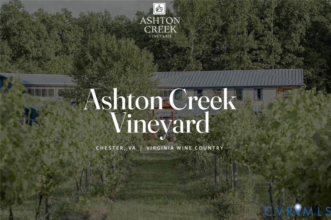 3211 Sylvania Road Chester, VA 23831 - Photo 20 of 22