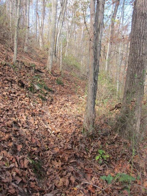 Tbd Spring Creek Station Road Renick, WV 24966 - Photo 22 of 33 Gallery Image 22