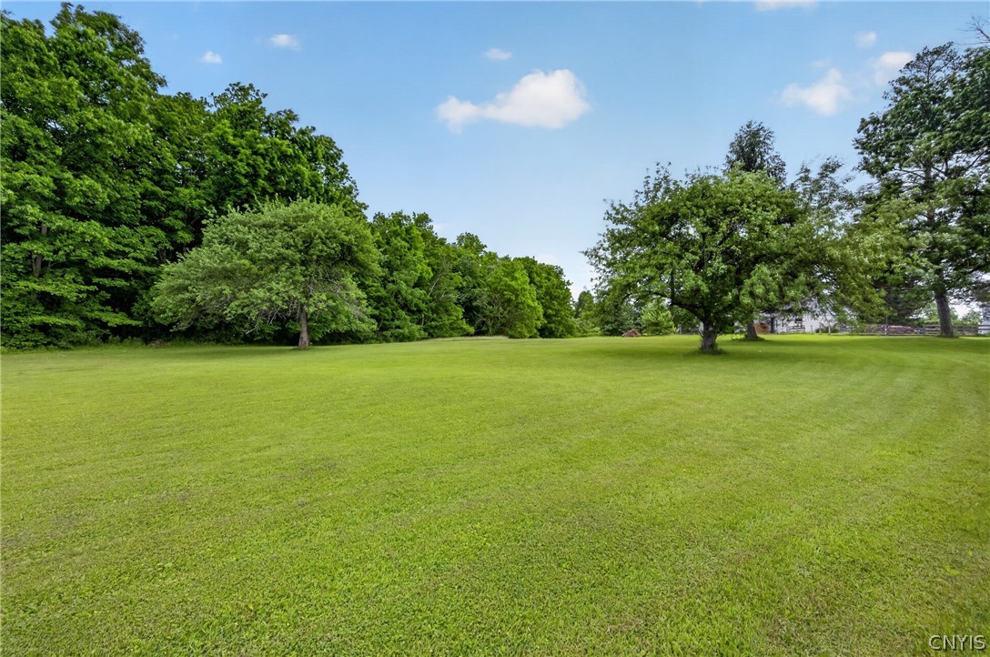 1229 Matson Road Fabius, NY 13159 - Photo 48 of 50