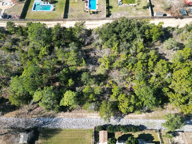 a view of a yard with plants and large trees