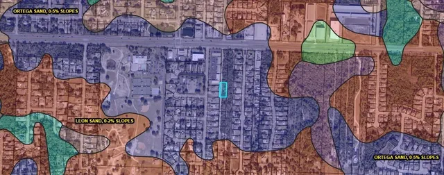 a view of a garden with a bench