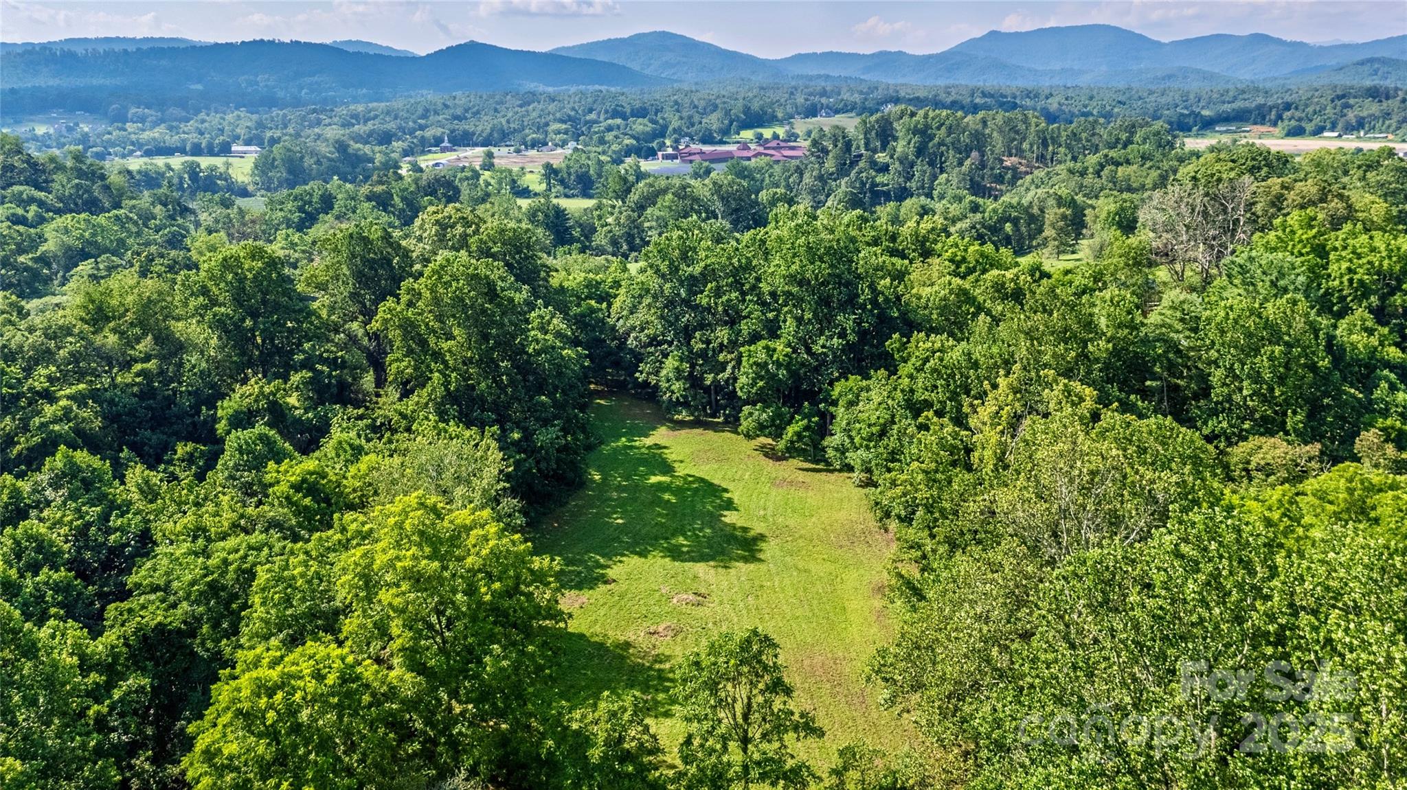 a view of a lush green field with lots of bushes