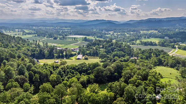 a view of a bunch of trees and houses