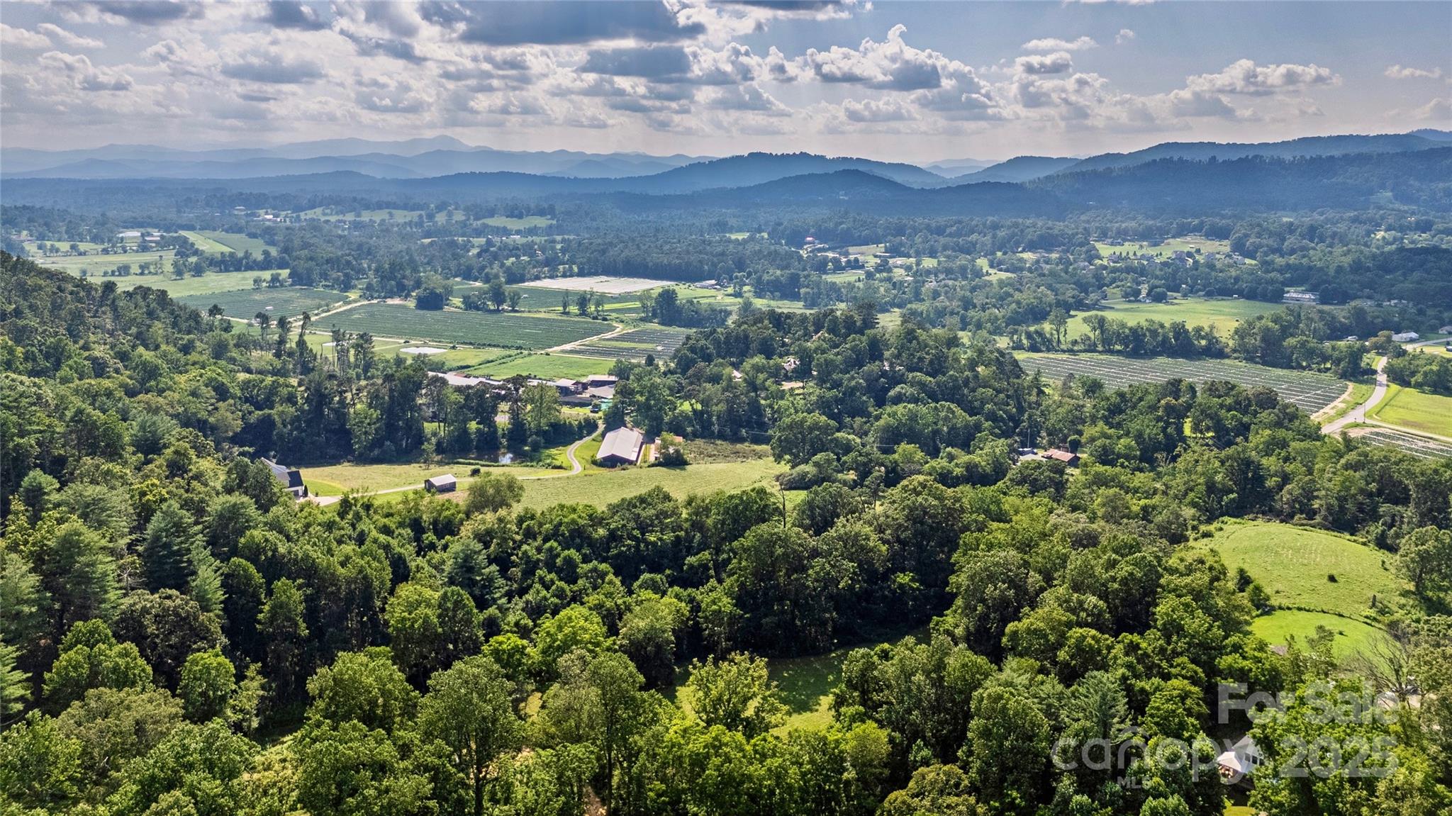99999 Burney Mountain Road Fletcher, NC 28732 - Photo 11 of 36 a view of a bunch of trees and houses